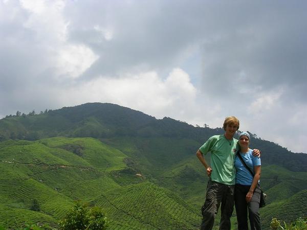 At Boh tea plantation