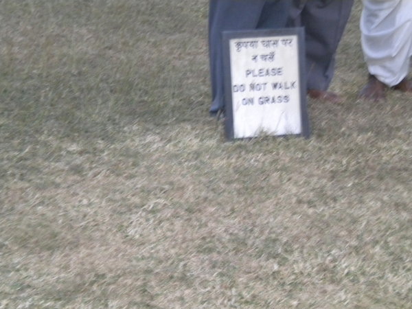 Pleeeeease do not step on the grass..