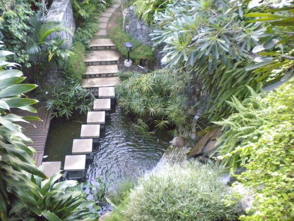 Tropical garden.