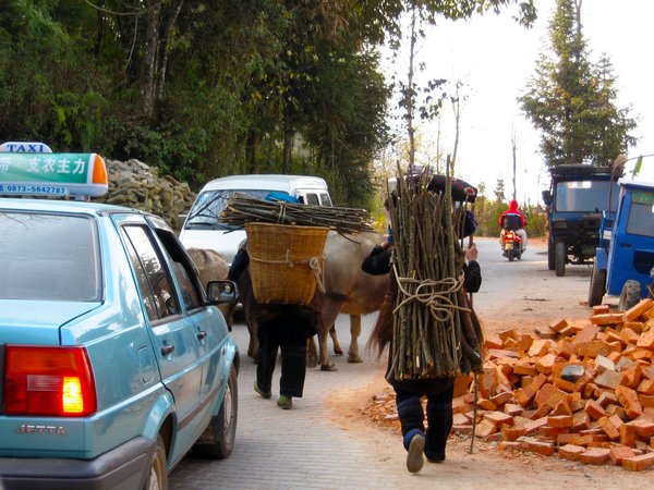 High Mountain Traffic Jam