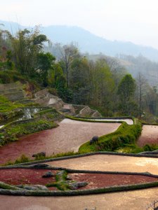 Yuan Yang Rice Terraces 