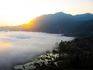 Yuan Yang Rice Terraces 