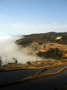Yuan Yang Rice Terraces 