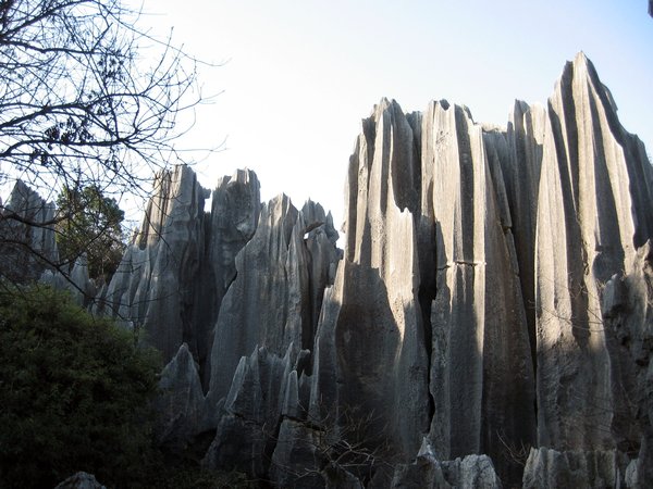 Shirlin -- Stone Forest