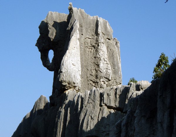 Elephant rock	
