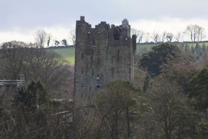 Blarney castle (2)