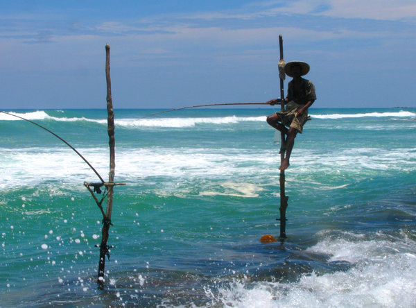 Stilt Fisherman