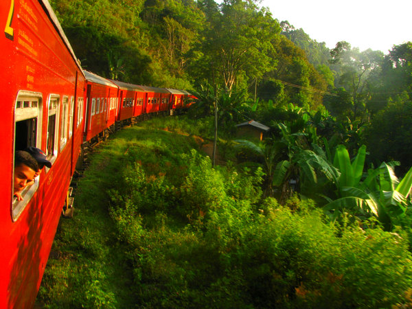 Jungle train journey