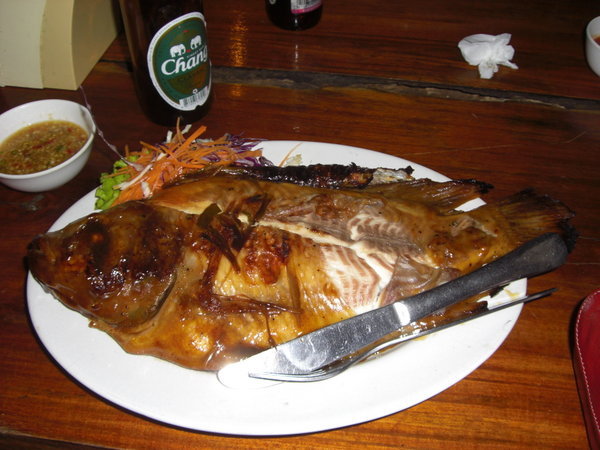 Sam's Big Red Snapper... shortly after it was gone!