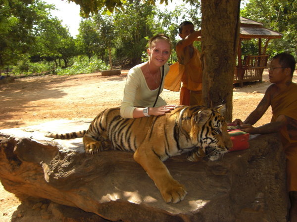 Sam with a junior Tiger & it's 2 Monk handlers.
