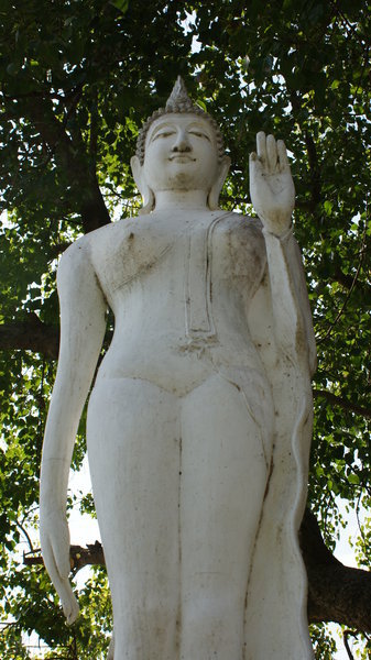 Standing Buddha, Wat Trapang Tong.