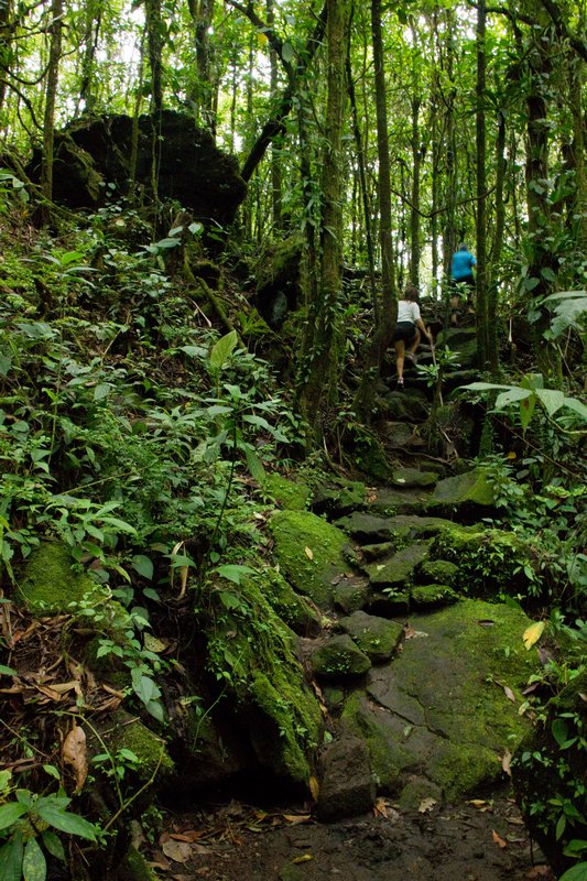 The trail through the forest to Arenal