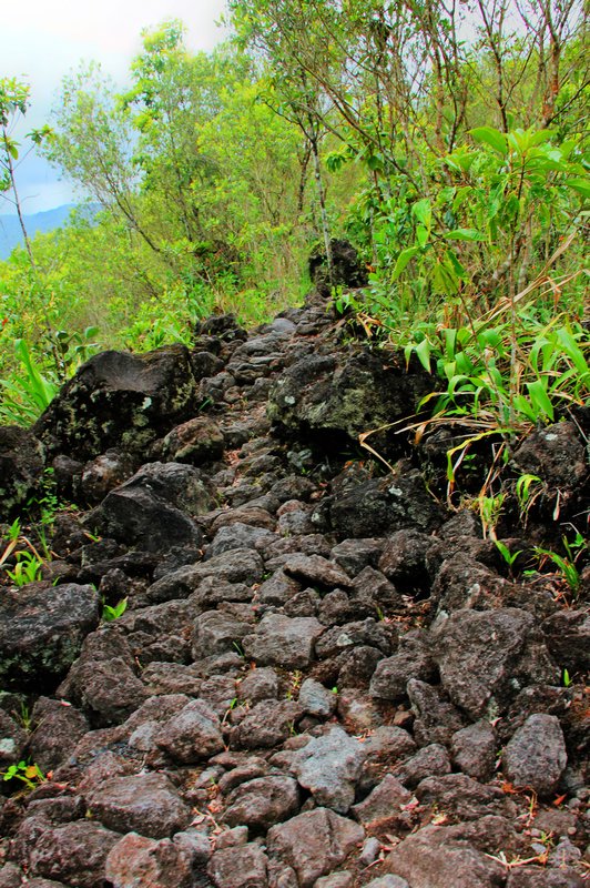 A Lava Flow in Arenal