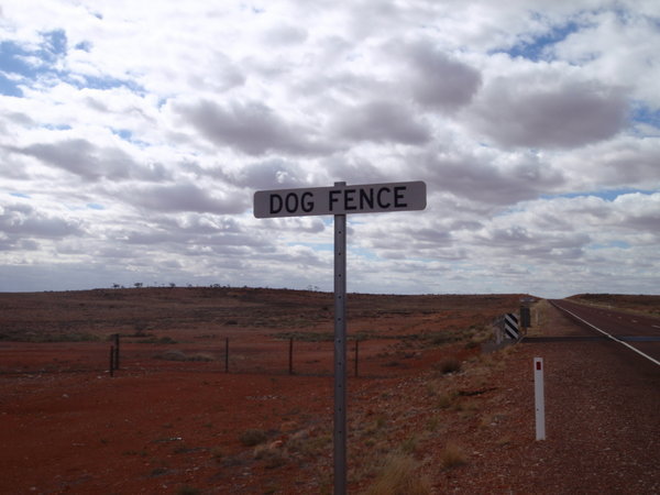 Dog fence