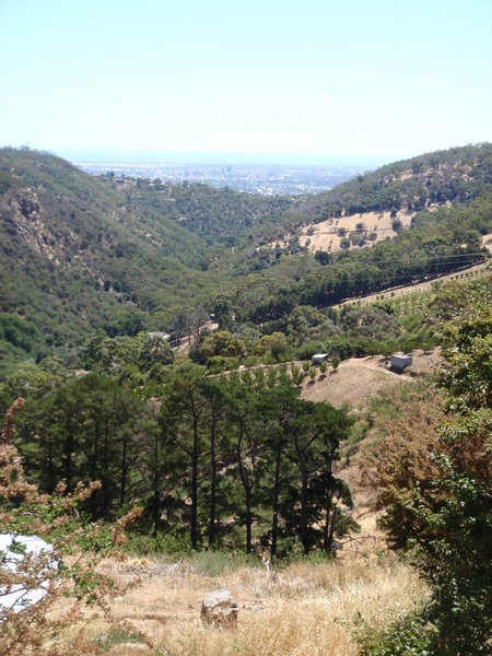 View back down to the city of Adelaide from Norton Summit
