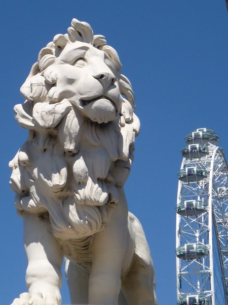 London - Lion's Eye