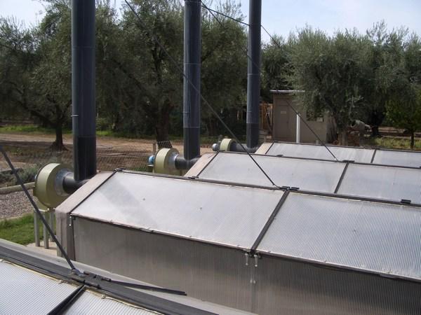 solar boxes for sun dried tomatoes