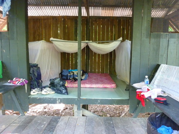 My hut in the jungle