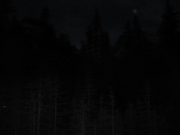 Rogers Pass at night