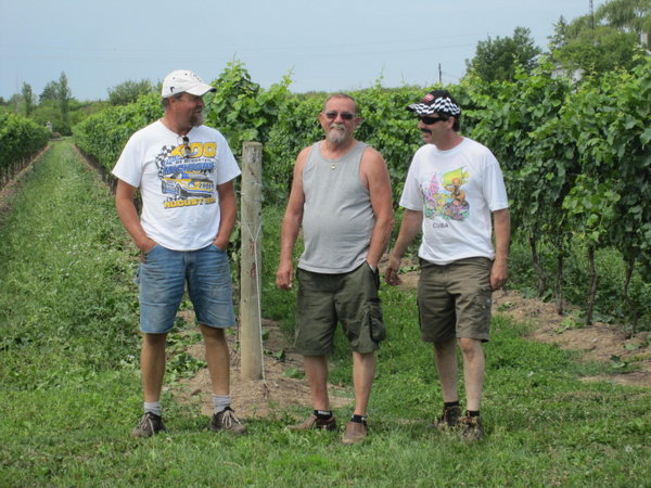 Boys in the Vines