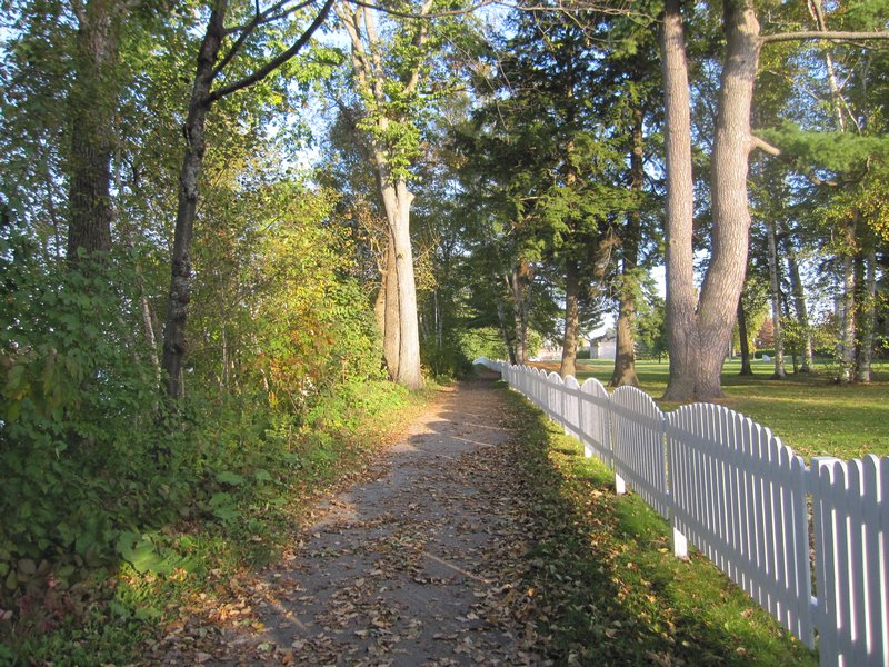 walking trail in Fredericton