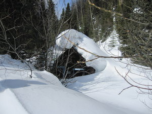 Cabins buried in snow!