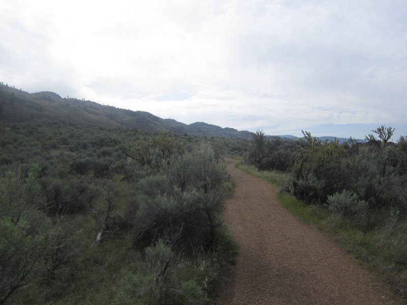 The walking trails at Spirit Ridge.