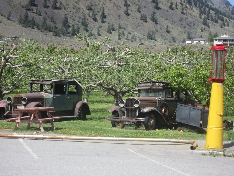 Cool cars in the orchard!