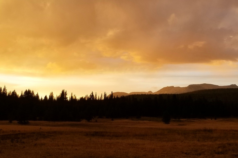 Sunset in Lyell Canyon