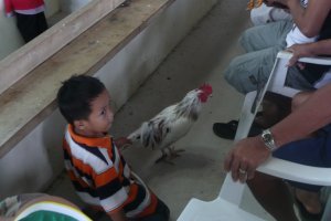 Kid and Rooster