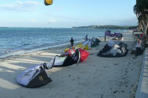Kites on the Beach