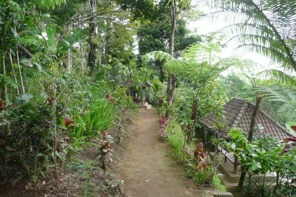 Plantation Pathway