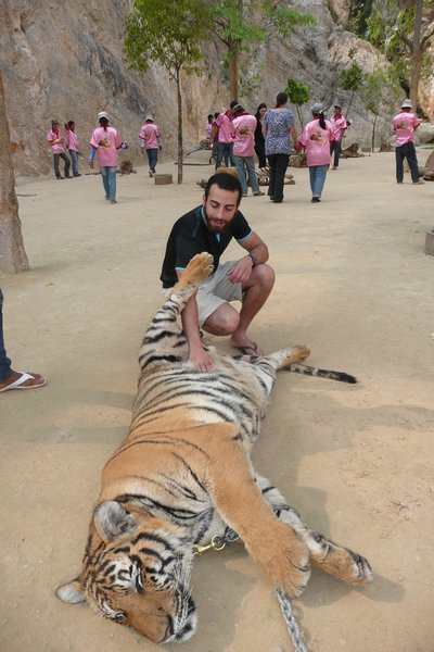 Tiger and Me