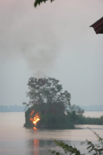 They're Burning An Island!