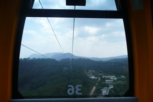 Cable Car View