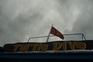 Turtle Dive