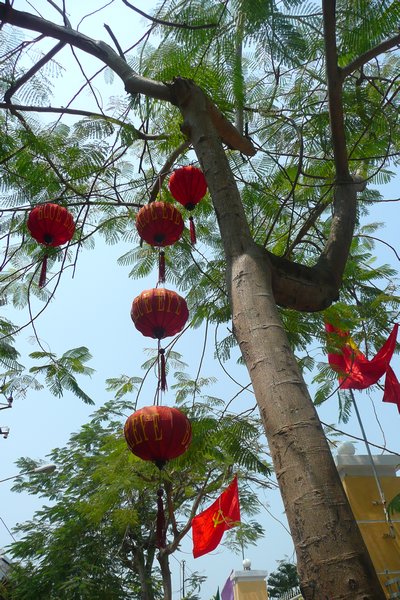 Tree With Lanterns