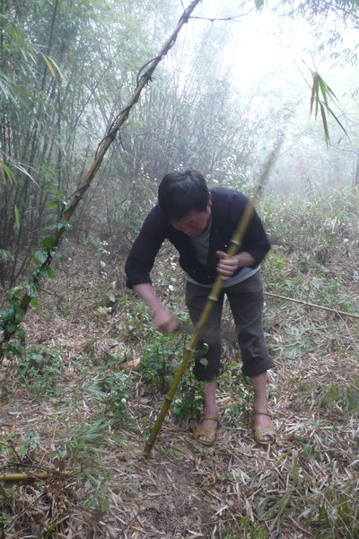 Kinh Fashioning A Bamboo Walking Stick