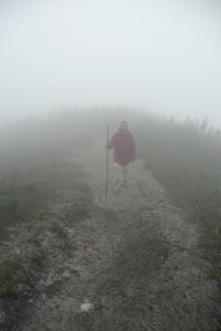 Shrouded in Mist