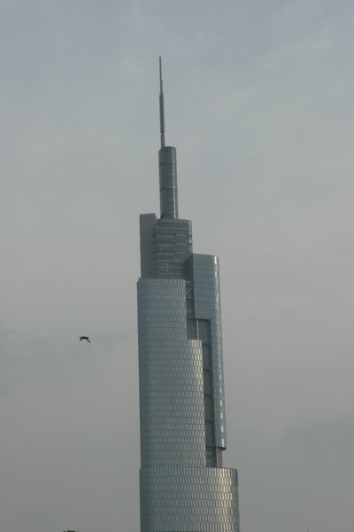 Tall Building