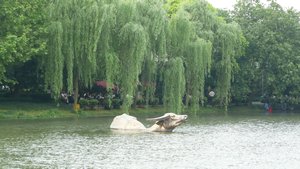 Water Buffalo Statue