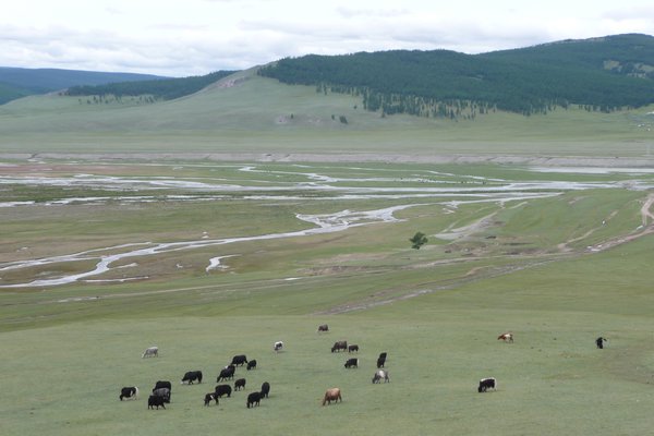 The Watery Steppe