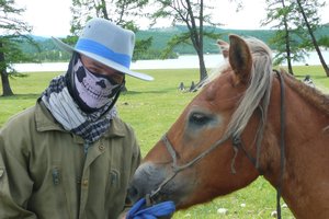 Jaako With Horse