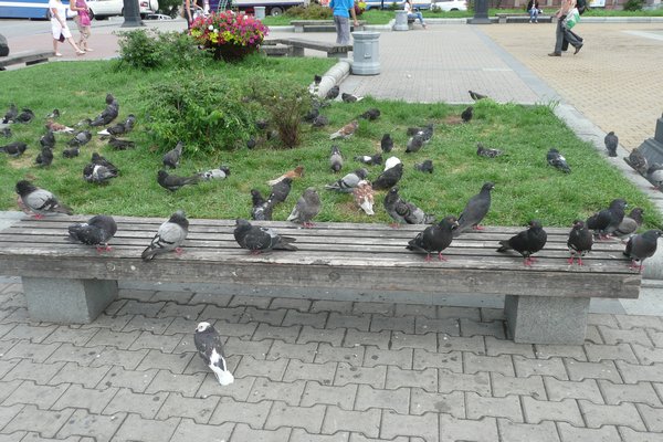They're taking over this bench