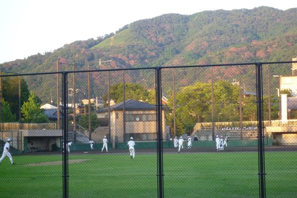 Baseball In The Heat