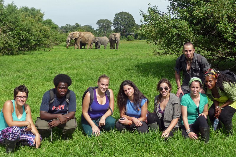 Elephants and the Group