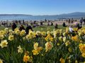 English Bay on a sunny day