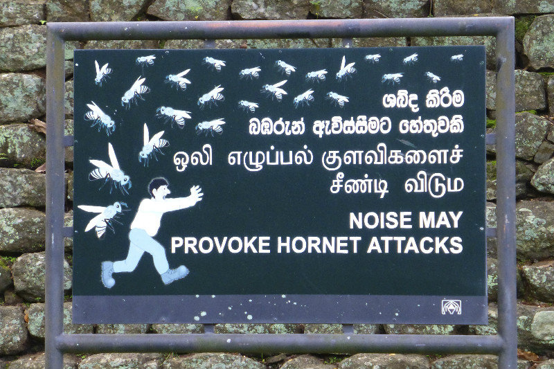 Hornet Sign