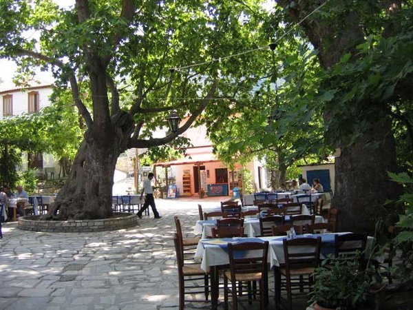 Hilll restaurant with plane trees