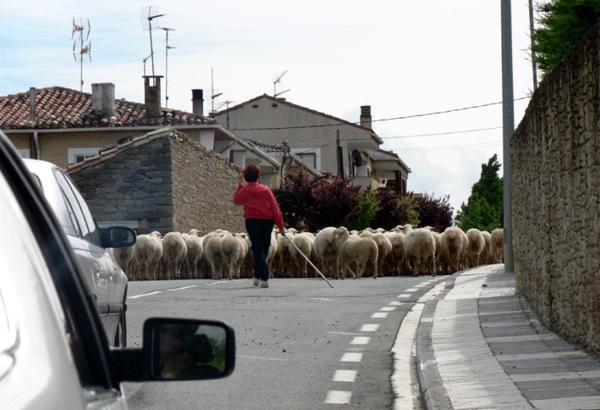 Traffic Jams in Spain